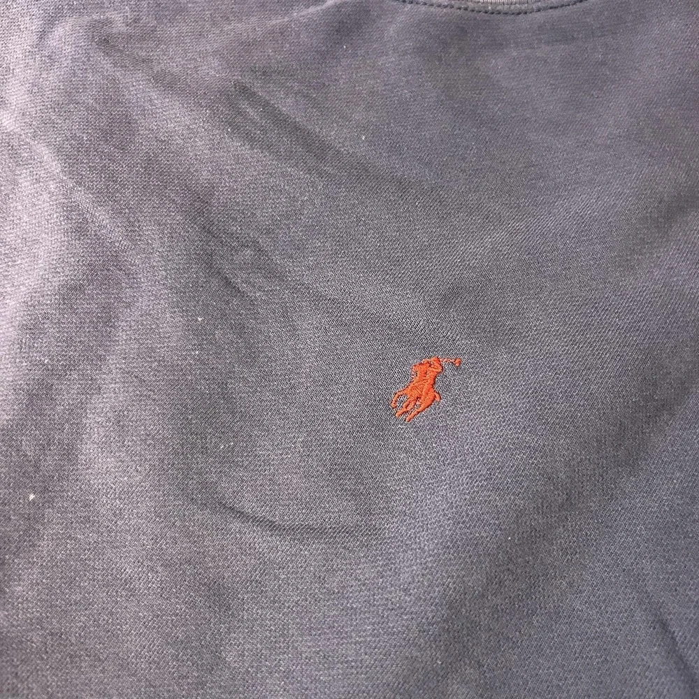 Polo Ralph Lauren Sweatshirt Mens XL Purple Crewneck Fleece Pullover Distressed